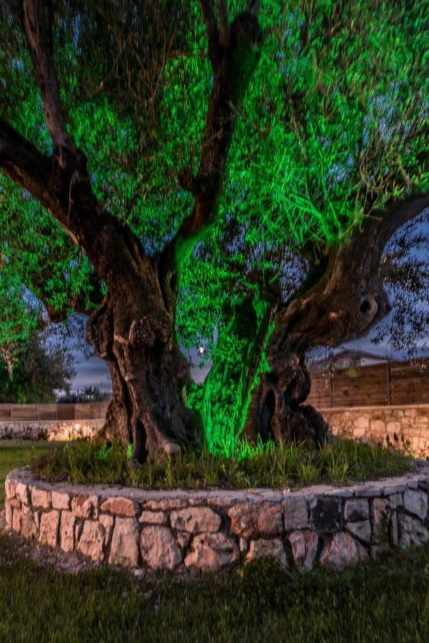 Green Stone Villas Apartments Kalamákion Esterno foto